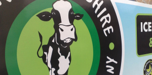 Image of a Digital Printed Logo